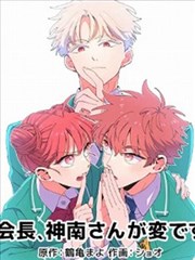 高斯电子